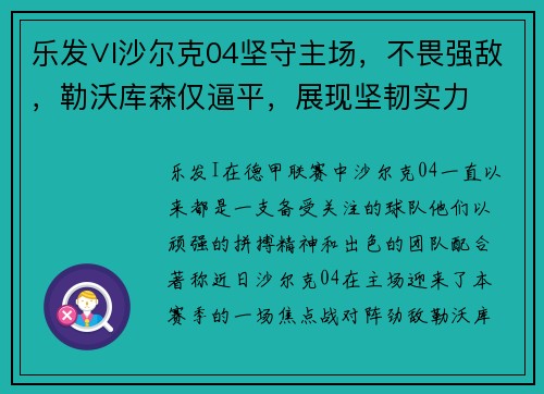 乐发∨I沙尔克04坚守主场，不畏强敌，勒沃库森仅逼平，展现坚韧实力